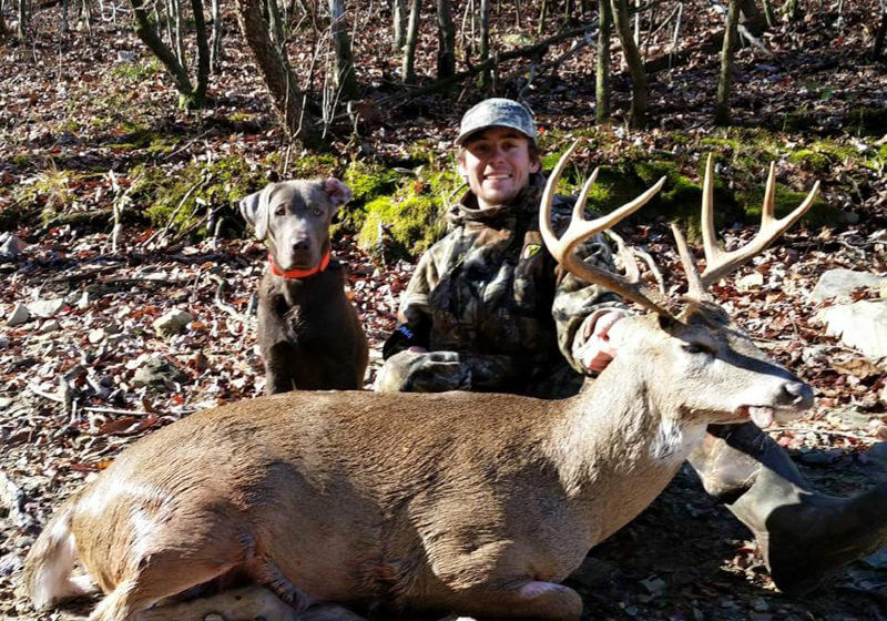 The best hunting dogs have keen senses and can track down prey. Breeds That Seem To Make The Best Blood Trailing Dogs For Deer John In The Wildjohn In The Wild John E Phillips Outdoor Journals
