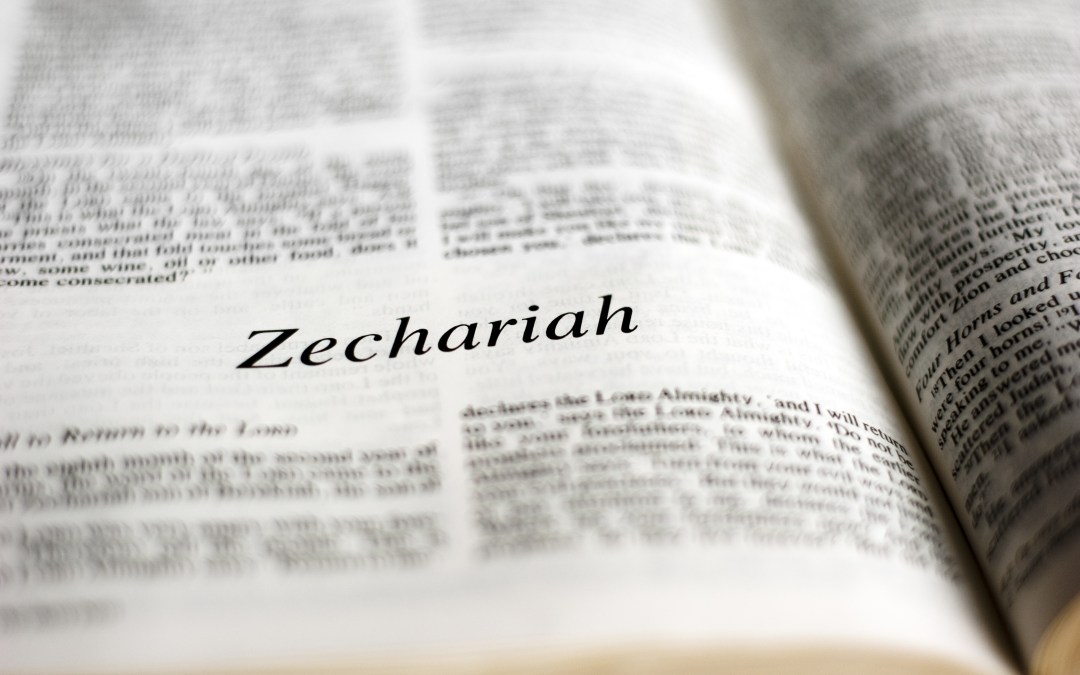 Zechariah commentary verse by verse picture