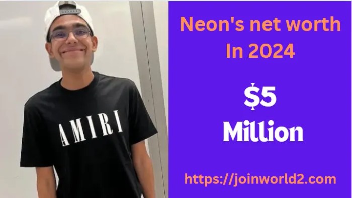What is neon net worth