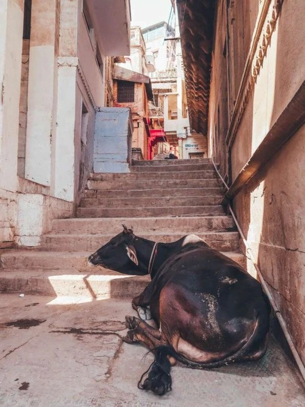 2 Days in Varanasi, the holy city of India
