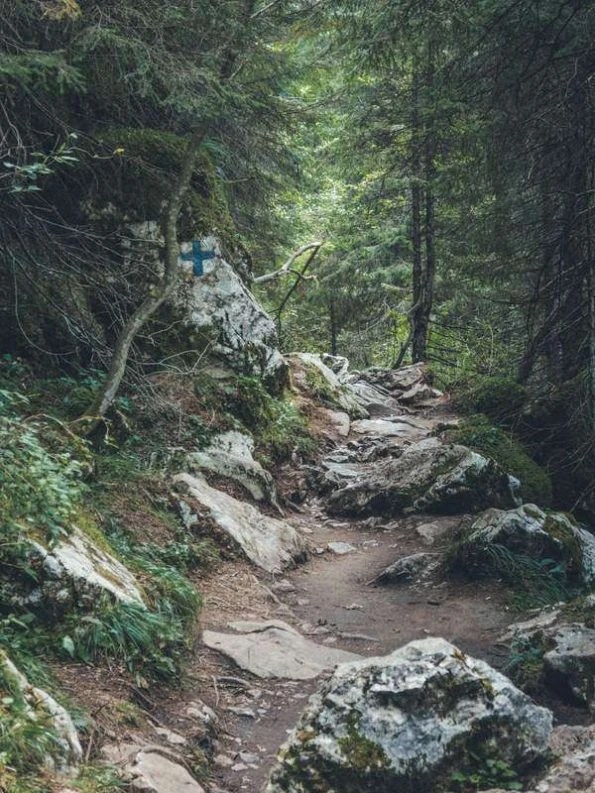 Easy hiking near Bucharest: Scropoasa Lake Romania bucegi mountains hike