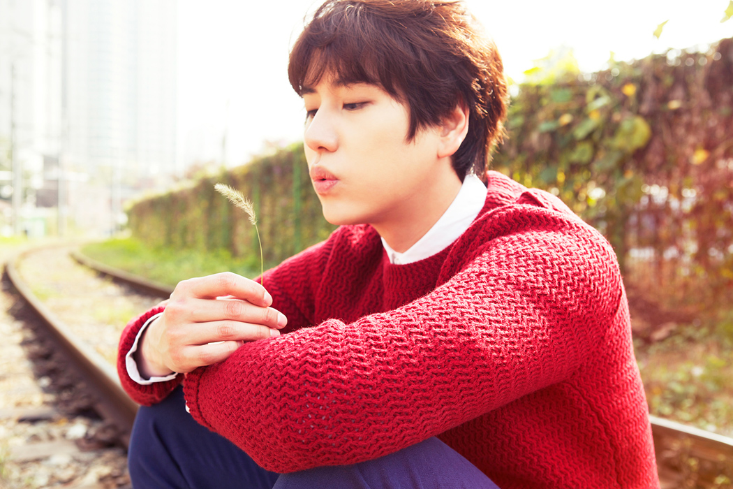 가는 널 보고서야 알게 되었어. Cho Kyuhyun At Gwanghwamun Lirik Dan Terjemahan Julyasparkyu