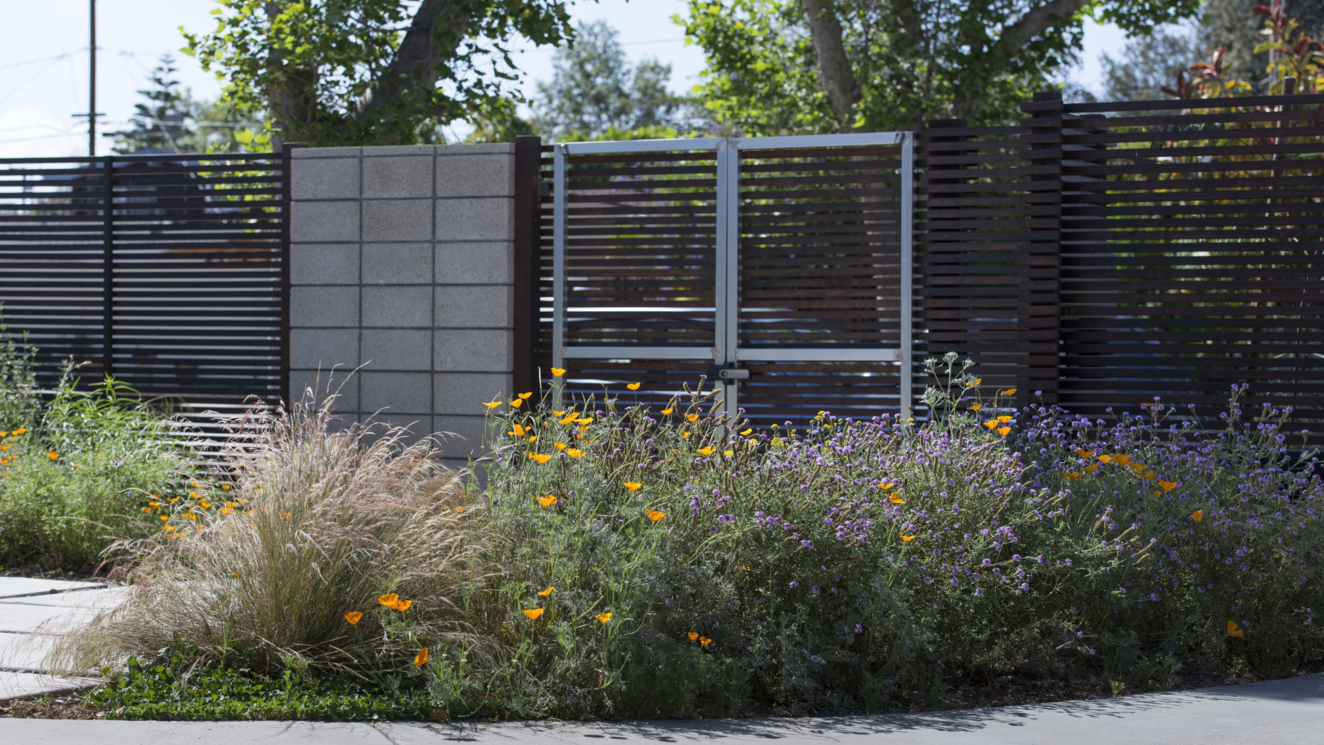 June Scott Design Long Beach