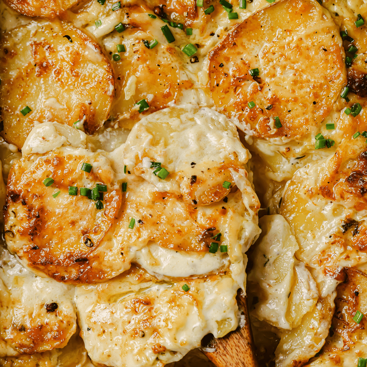 Sheet pan scalloped potatoes with a wooden serving spoon.