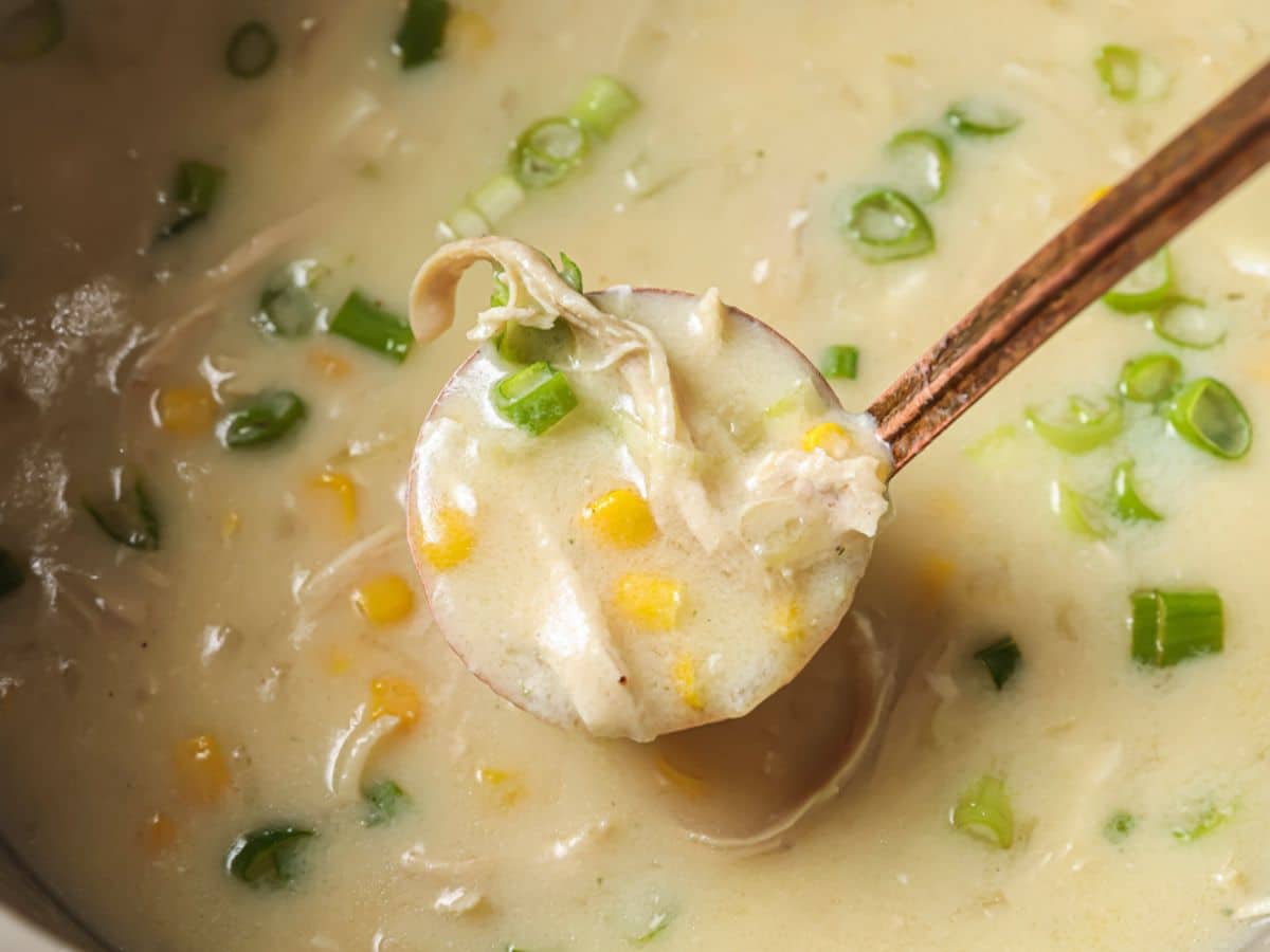 ladle of creamy corn soup with sweet corn kernels.