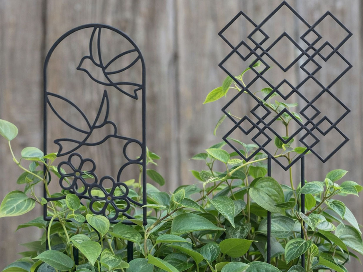 Plant Trellis 3d model