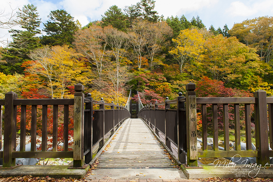 Shiobara, Tochigi ken