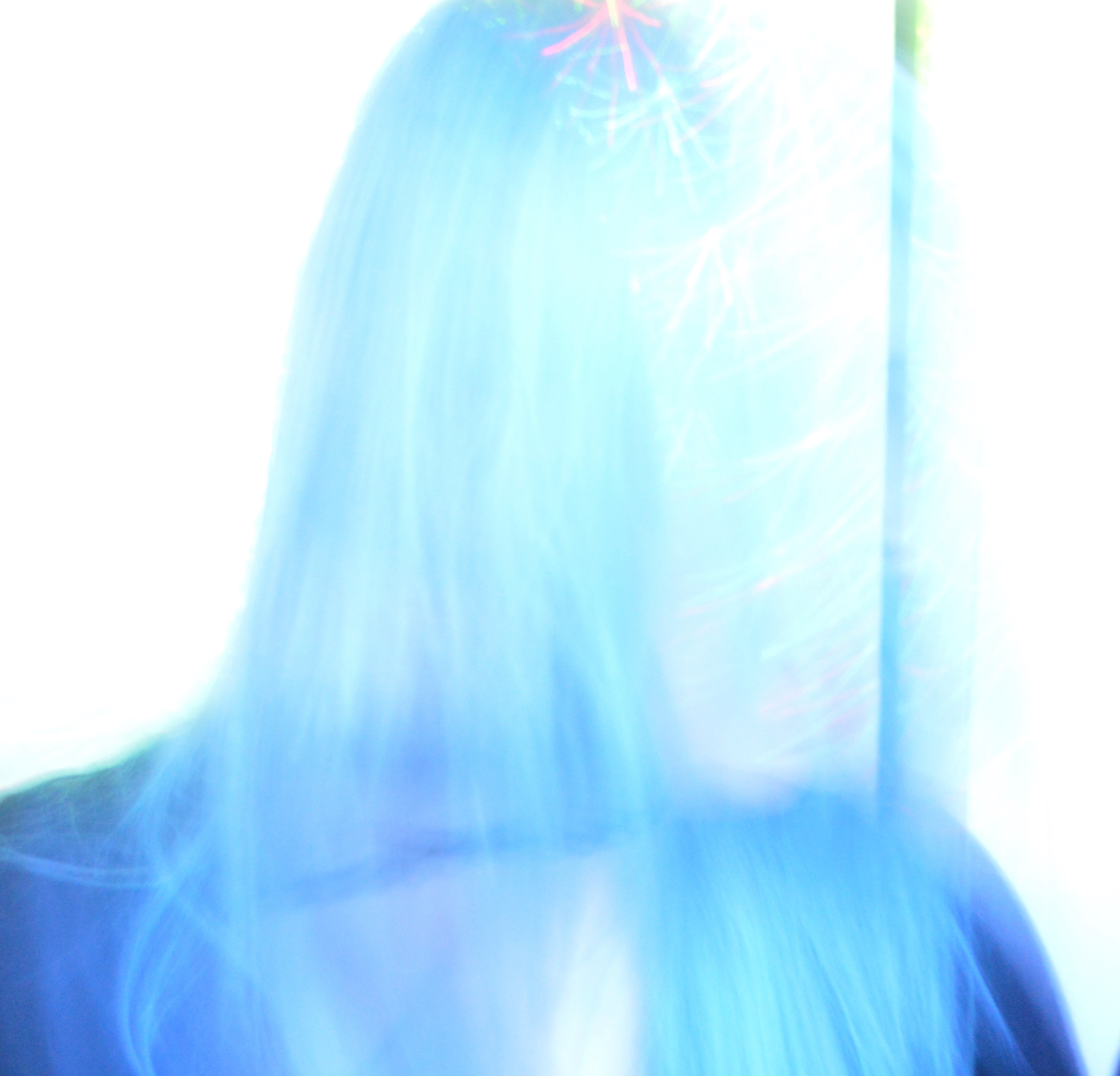 DSC_1295