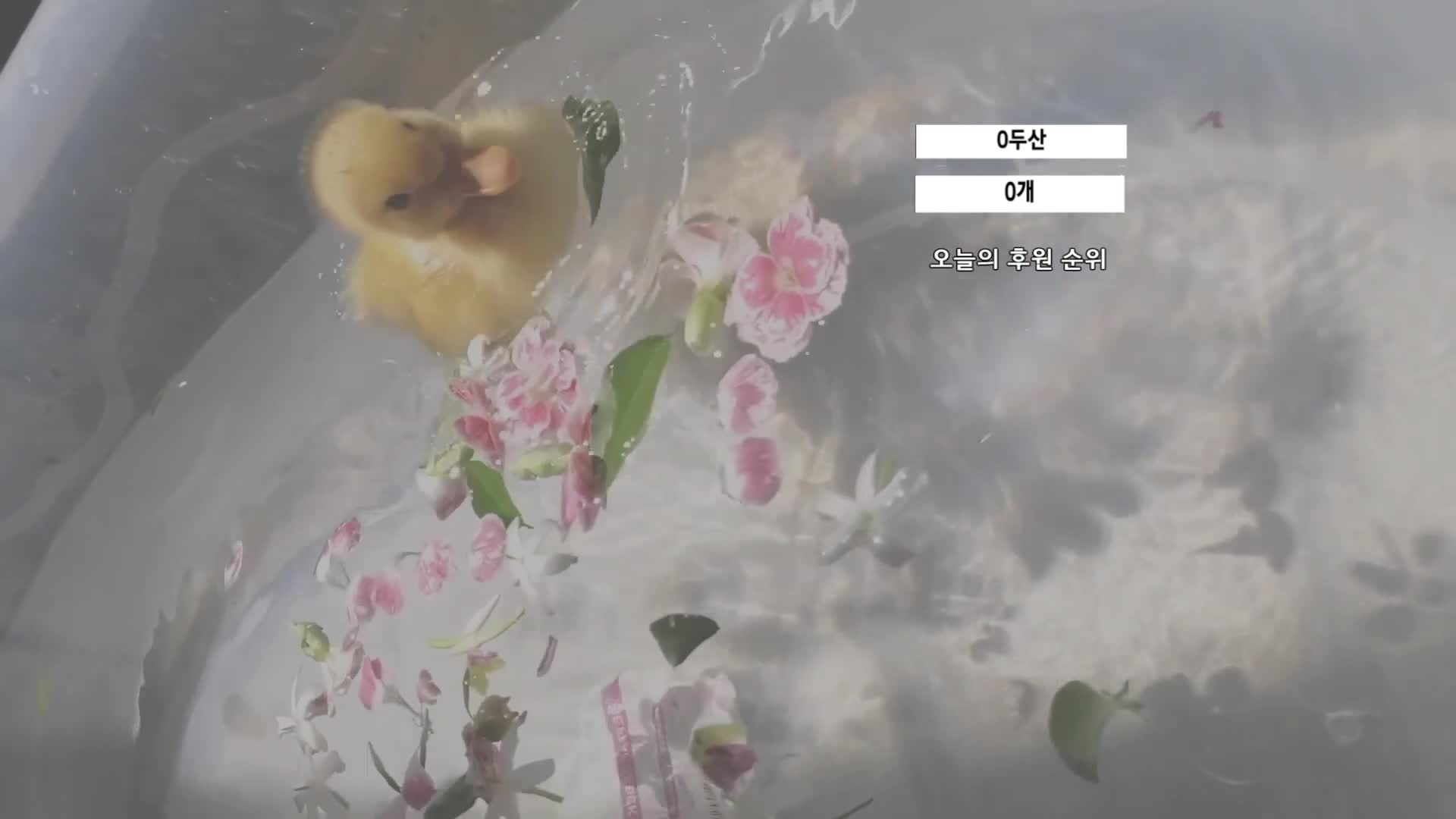 #moem9e9 moem9e9_20250316_0948.mp4 @kbjba