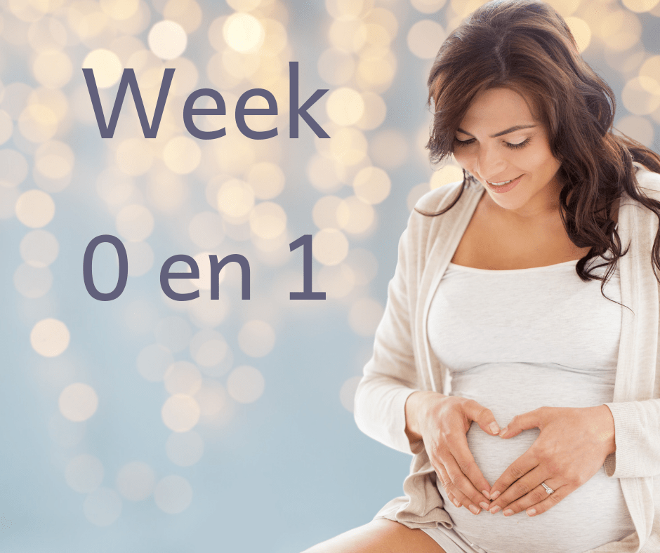 Misselijkheid is daarom vaak een van de eerste symptomen van zwangerschap. Zwangerschapskalender Week 0 En Week 1 Kidzlab Nl
