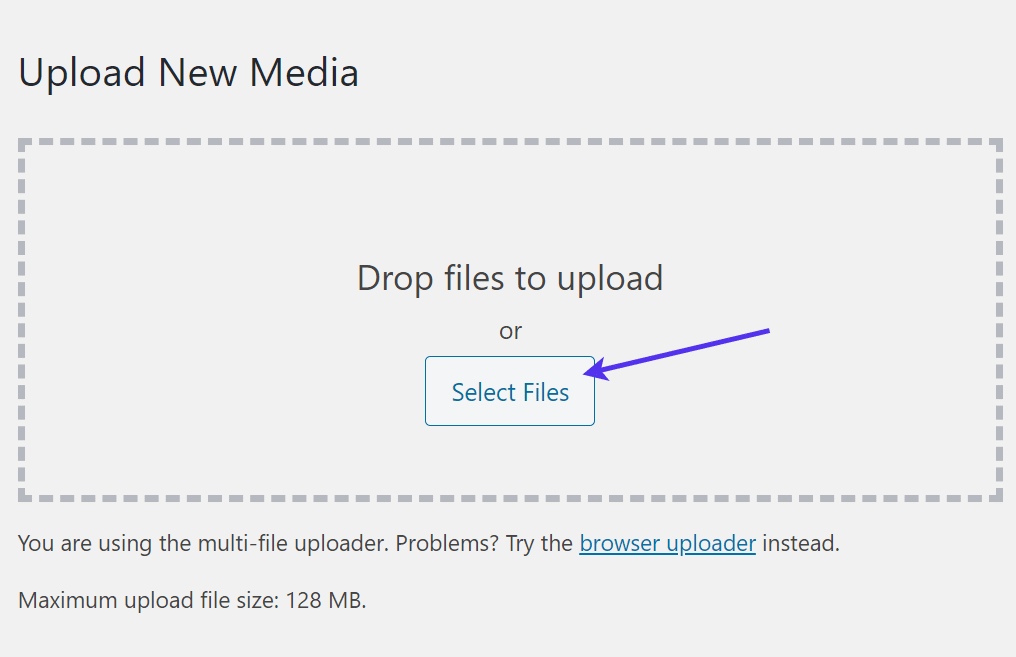 Jika masih muncul error, silakan coba pilihan . A Comprehensive Guide On Wordpress Files And How To Use Them