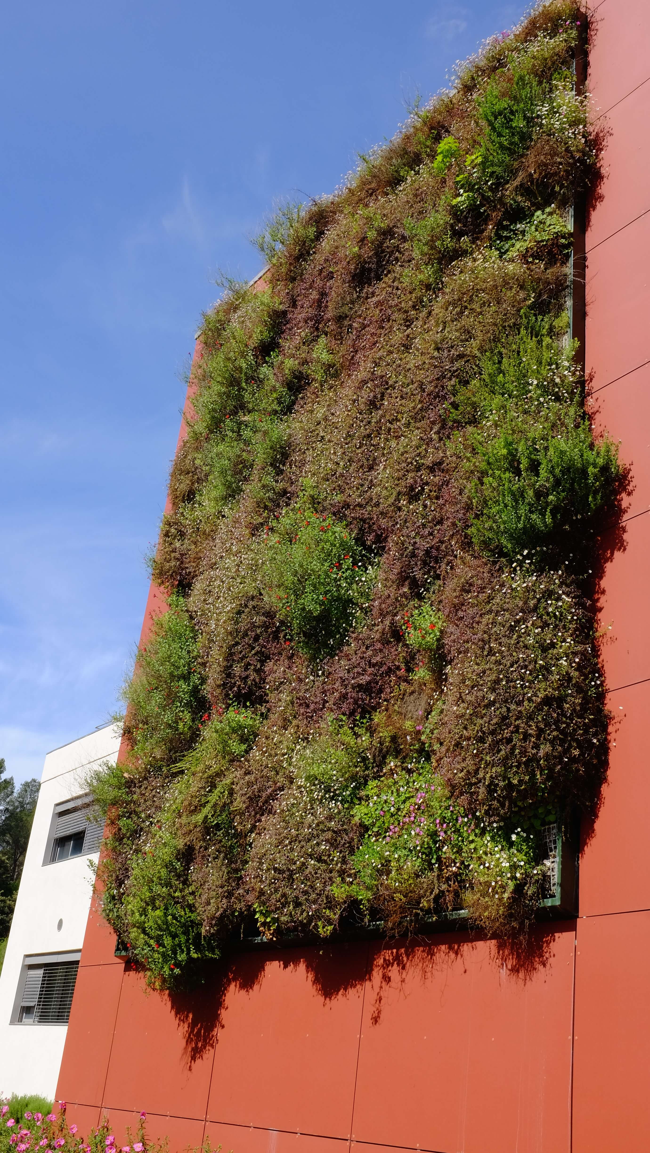 Il ne vous reste plus qu'à acheter de l'aquanappe, de la toile de jute, du terreau et bien sûr, de petites plantes et fleurs, et vous voilà prêt(e) à concevoir . Quel Prix Pour Votre Mur Vegetal Interieur Ou Exterieur