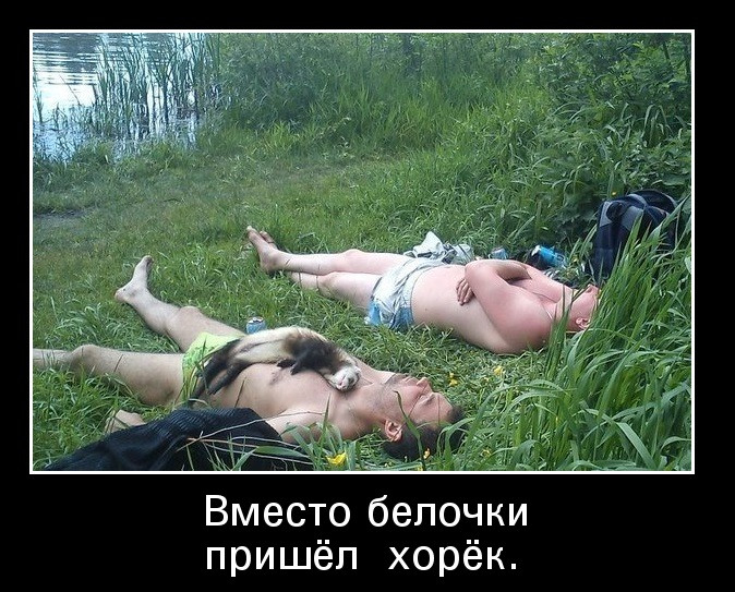 фото белочки для алкашей