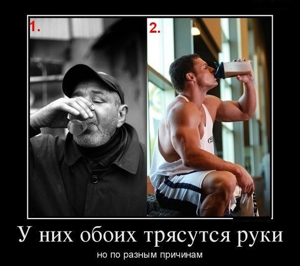 фото белочки для алкашей