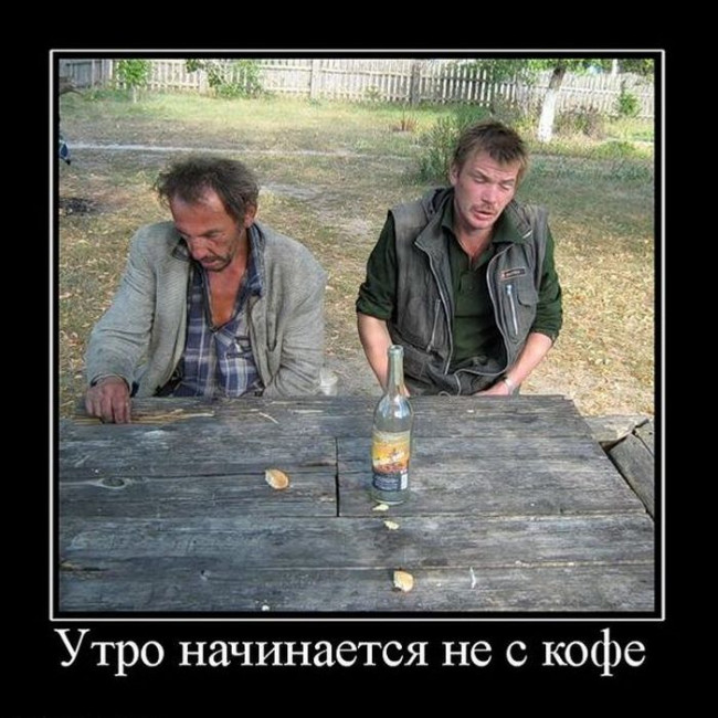 фото белочки для алкашей