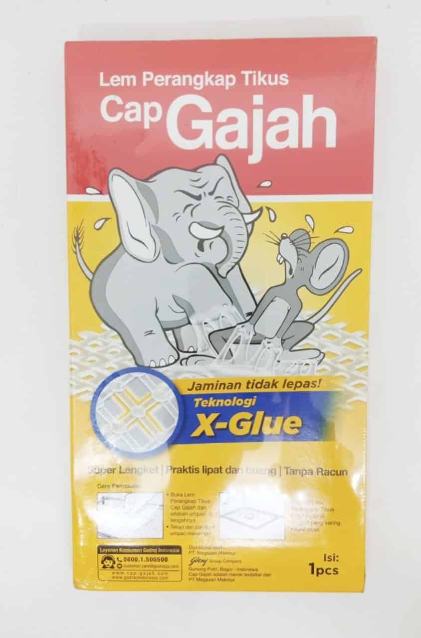 Cara melepaskan ialah dgn garam. LEM TRAP CAP GAJAH 70 GR - KLIKTOBUY