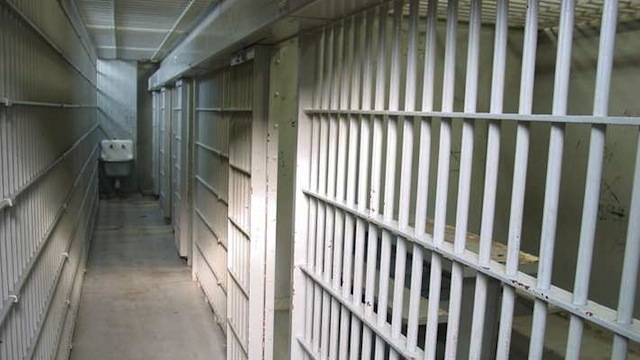 МВД: бывший начальник исправительного учреждения взял телёнка в качестве взятки