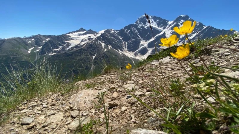 К центральному входу как от ж/д . Ekskursii V Essentukah 2021 S Gidom Ekskursovodom