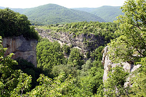 Ручей, водопад, ущелье мешоко в адыгеи. Ushele Meshoko