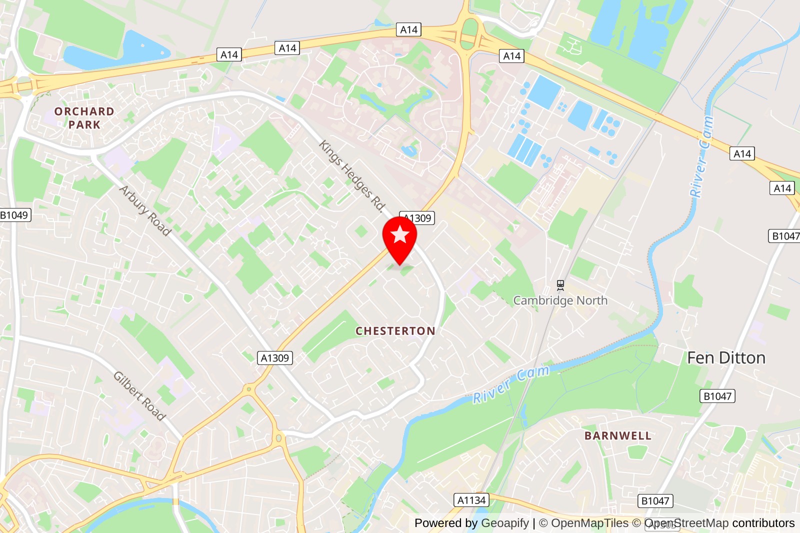 5 Best Opossum Control Services in Cambridge UK for a Safe and Peaceful Home