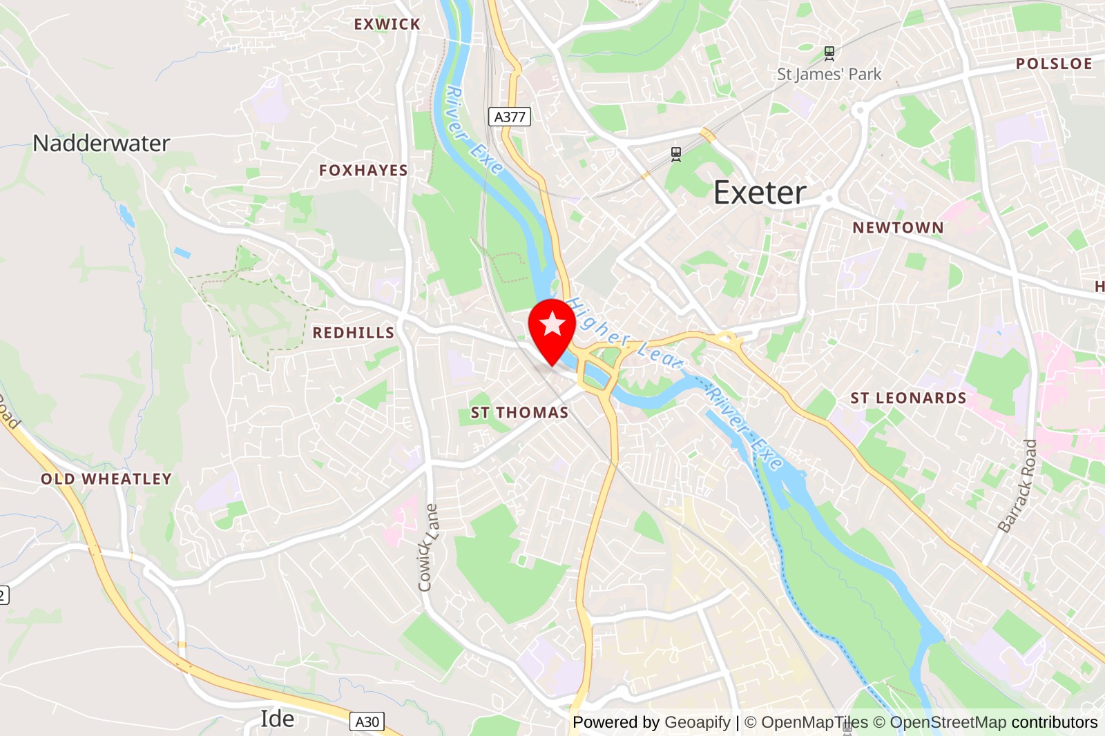 5 Best Pet Grooming Services in Exeter for Your Furry Friends