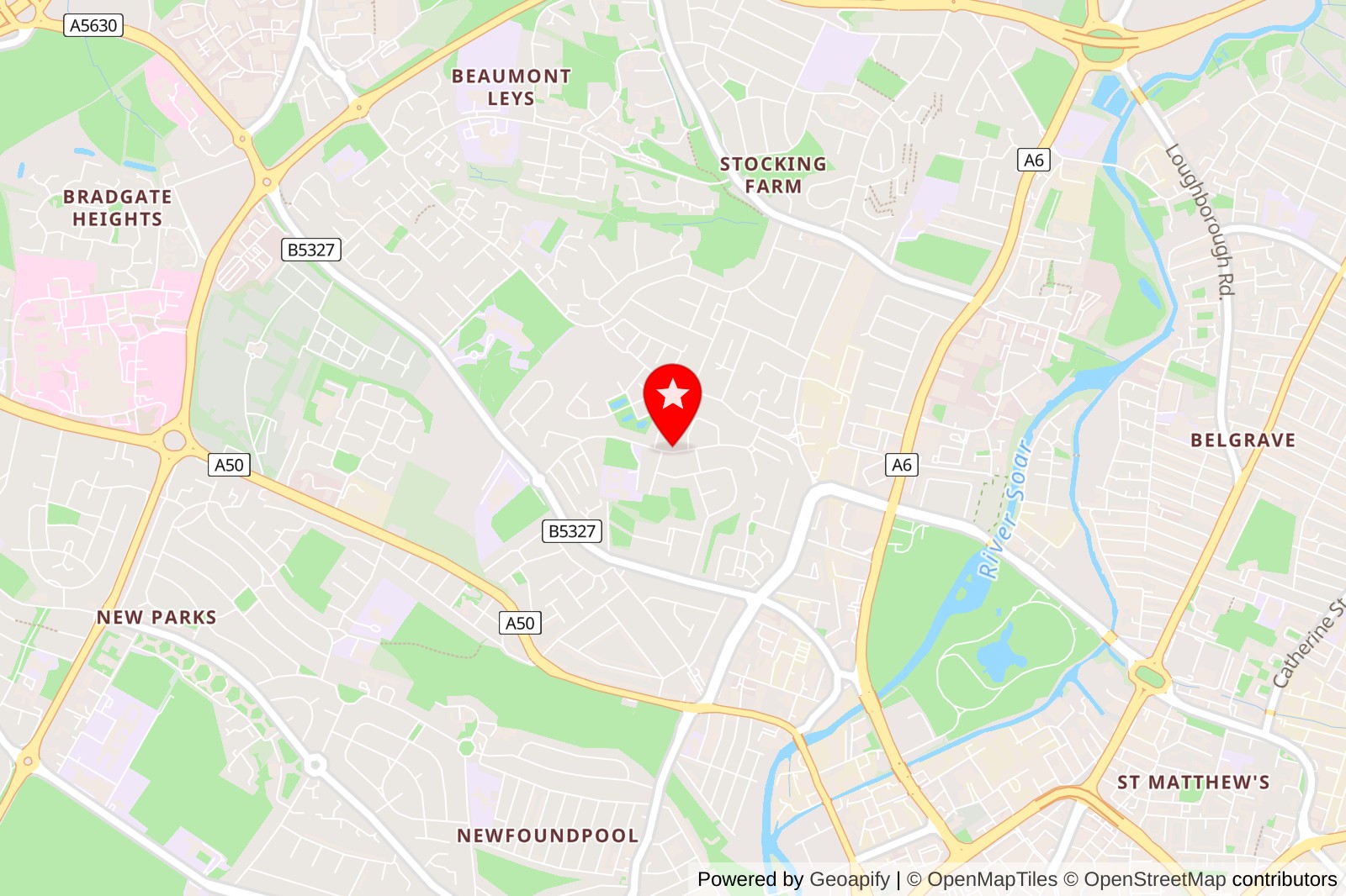 5 Best Pet Grooming Services in Leicester for Happy, Healthy Pets