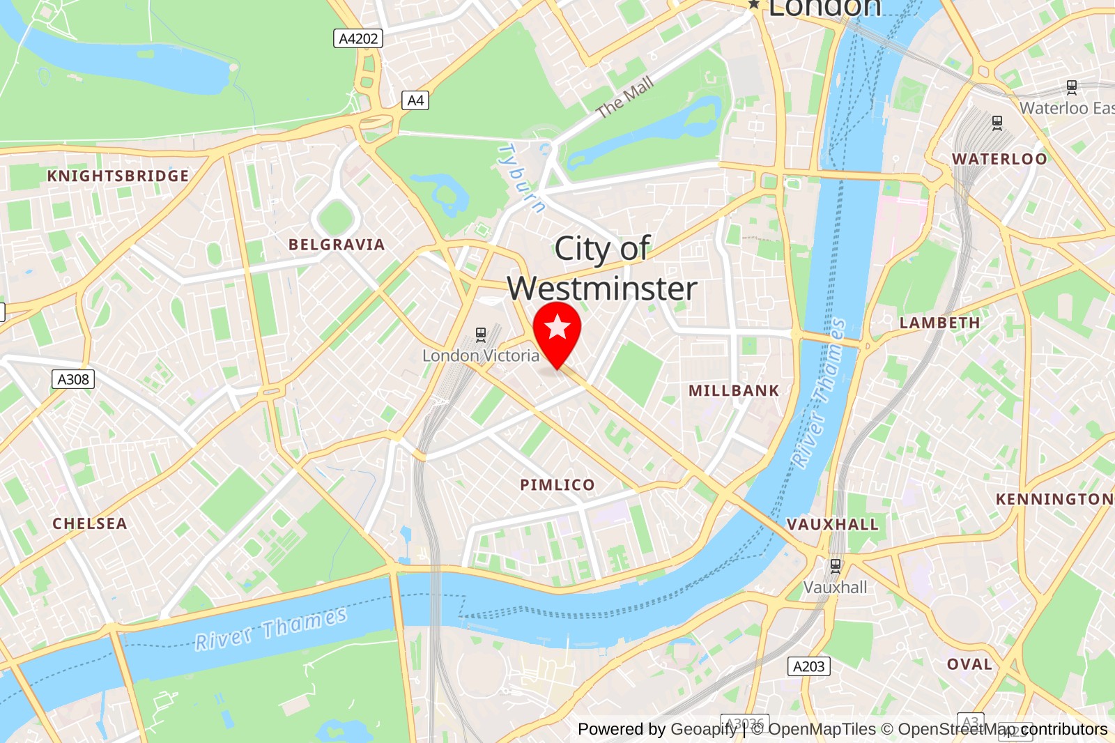 5 Best Pet Grooming Services in Westminster for Your Furry Friends