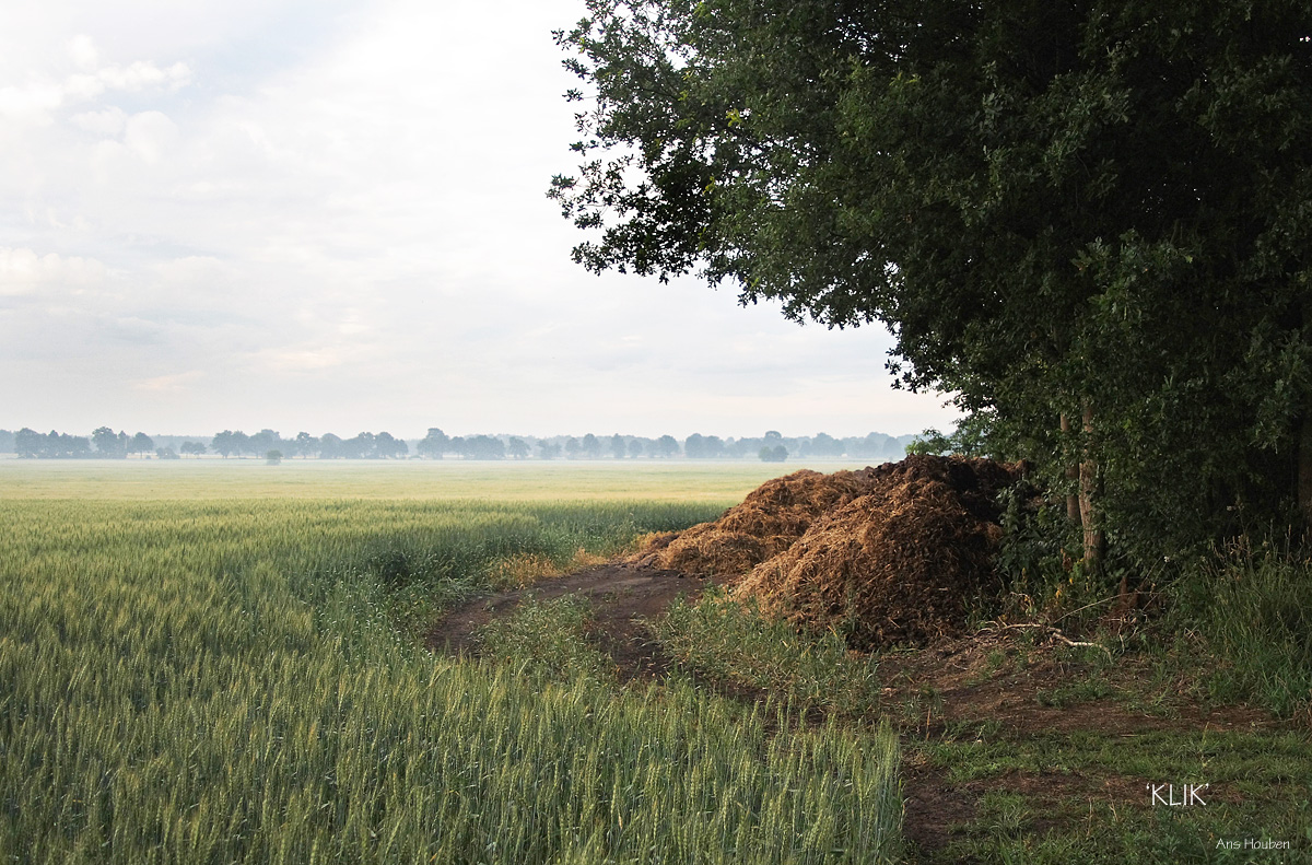 Mestvaalt 07.10 uur | KIEK