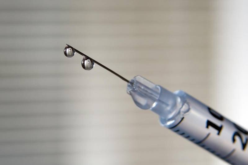 Comment Injecter Un Chat Dans La Cuisse Avec Une Seringue Comment Faire Une Injection Intramusculaire A Un Chat Comment Les Medicaments Sont Administres
