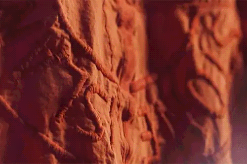 스톤 아일랜드가 초한정판 ‘프로토타입 리서치 시리즈’를 만드는 법