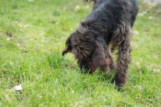 WhatsApp Image 2023-02-01 at 18.31.10 WhatsApp Image 2023-02-01 at 18.31.10