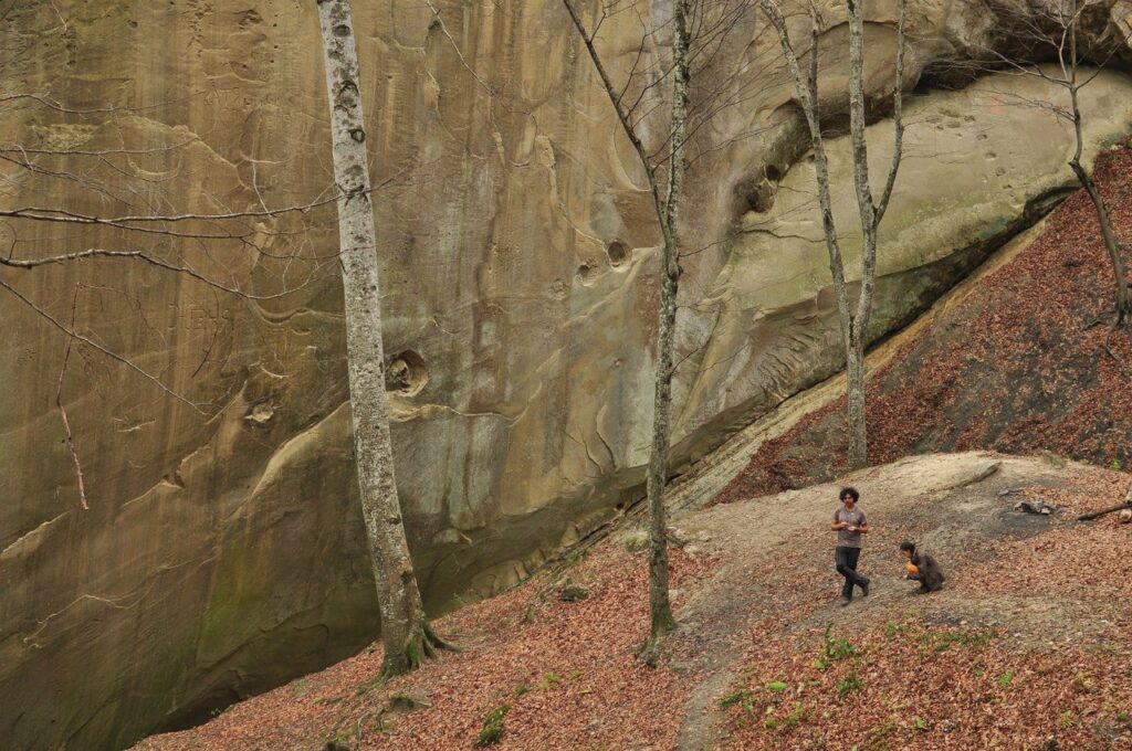 Путешествие будет незабываемым и даст массу положительных эмоций. Otdyh V Gorah Byuro Puteshestvij I Ekskursij Krasnodar