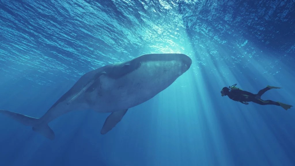 while-speculators-believe-bitcoins-third-largest-wallet-is-a-mystery-whale-onchain-data-suggests-its-an-exchange-1024x576.webp