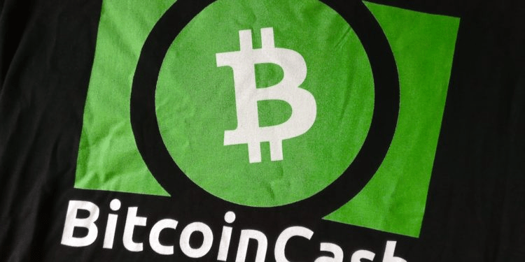 We are active with bitcoin cash (bchh20) with leverage on this drop. Bitcoin Cash Price Will Bch Recover Above 200