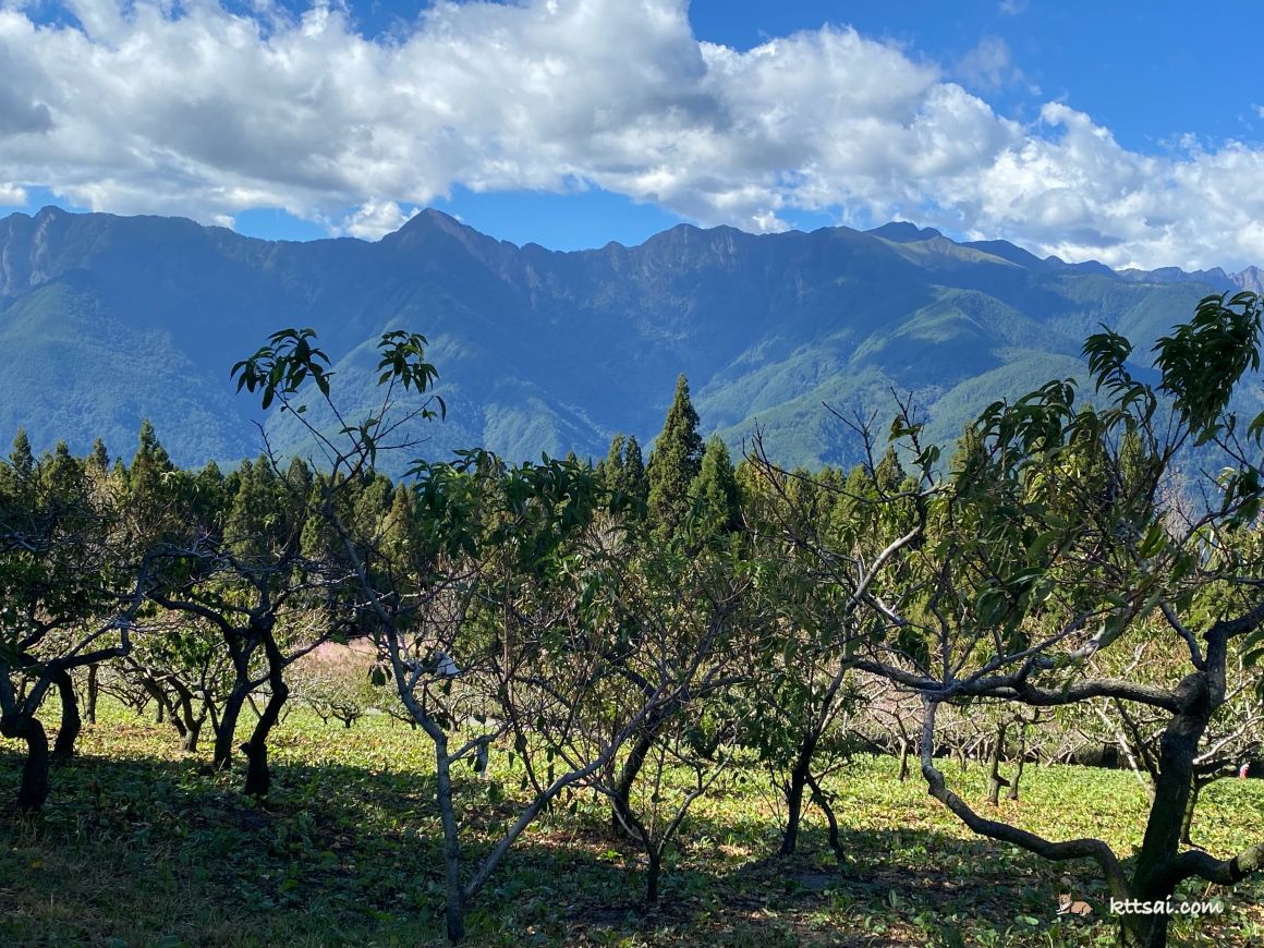 福壽山農場風景