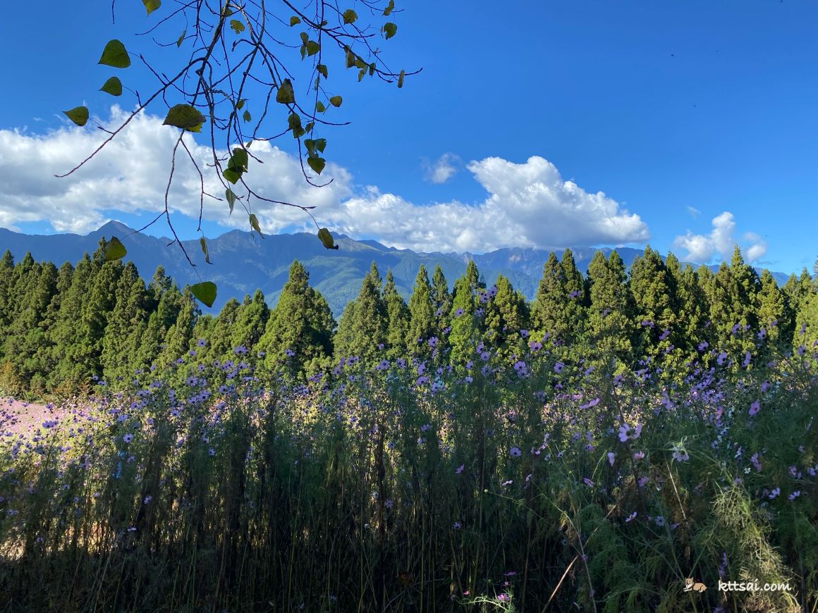福壽山農場風景