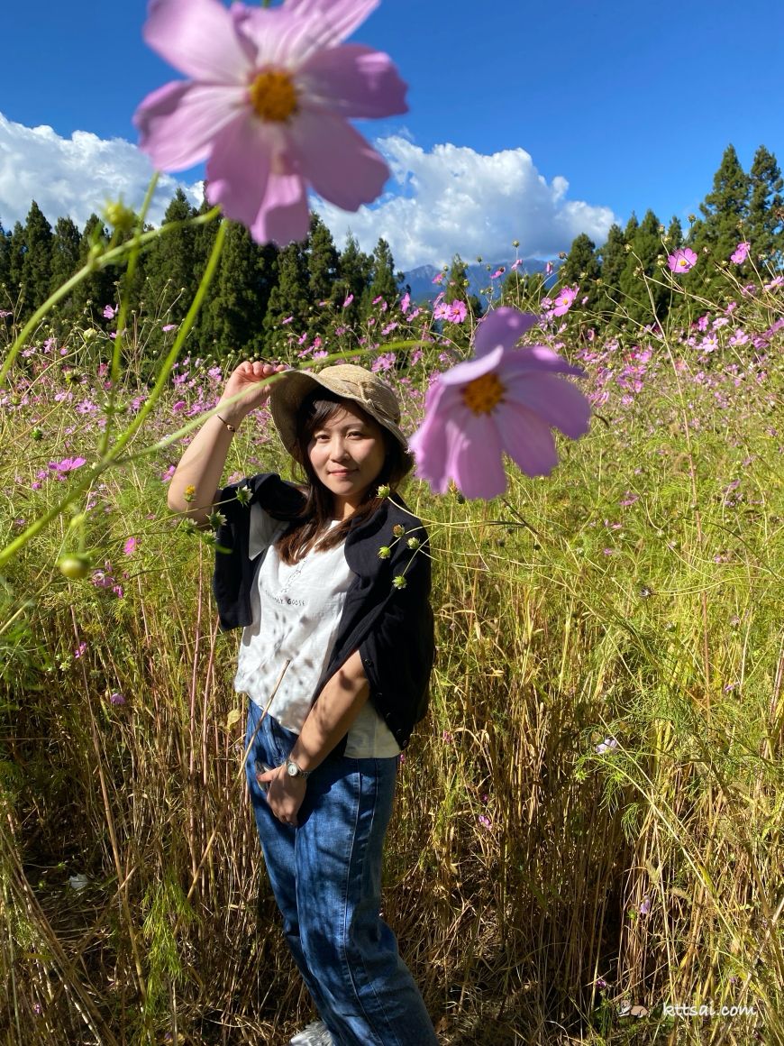 福壽山農場花海
