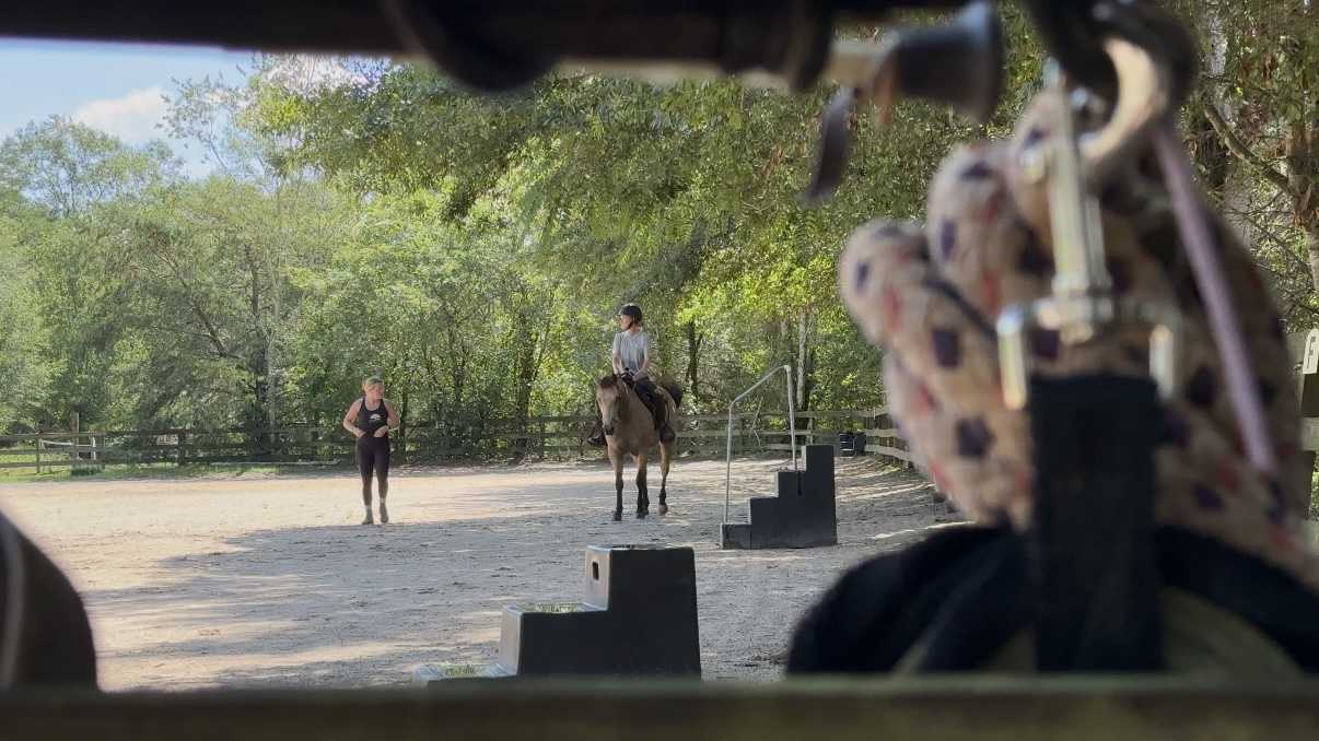Bramblewood Stables, a Beloved Upstate Horse Farm Since the 1970s, Faces Threat of Closure