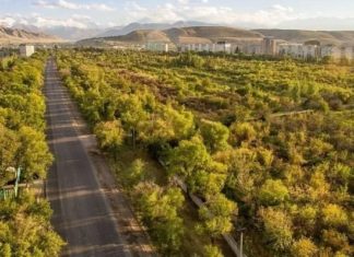 Ботаникалык бактын атын өзгөртүү сунушу: Гареевдин уулу комментарий берди