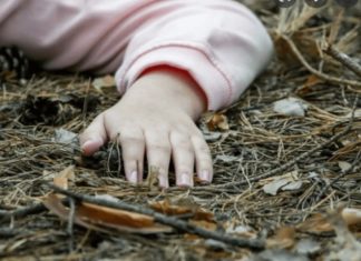 Кеминде дайынсыз жоголгон кыздын сөөгү табылды