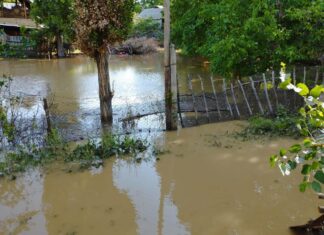 Базар-Коргон районунда катуу жаандан улам сел жүрдү, жабыркагандар жок