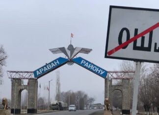 Араван: Ымыркайдын сөөгүн жолбун иттер сүйрөгөн окуя боюнча иликтөө башталды