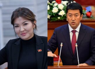 Дагы эки депутат «чет элдик тыңчы» мыйзам долбоорунан баш тартты