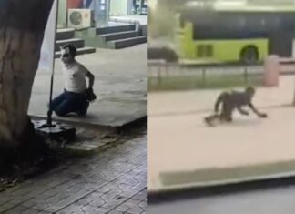 Депутат окуучулардын арасында квадробинг популярдуу болуп жатканына тынчсызданууда