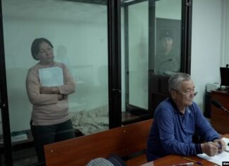 Активист Зарина Төрөкулова айып изоляторуна киргизилди