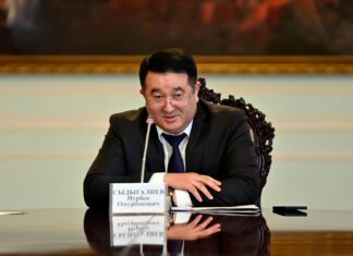 Жогорку Кеңештин вице-спикери бир мандаттуу округдар боюнча депутаттарды шайлоону жокко чыгарууну сунуштады