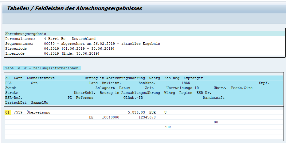 Der code wird sowohl als subnummer als auch bei der bezeichnung der lohnart ergänzt. Splitkennzeichen von Lohnarten im SAP HCM verstehen