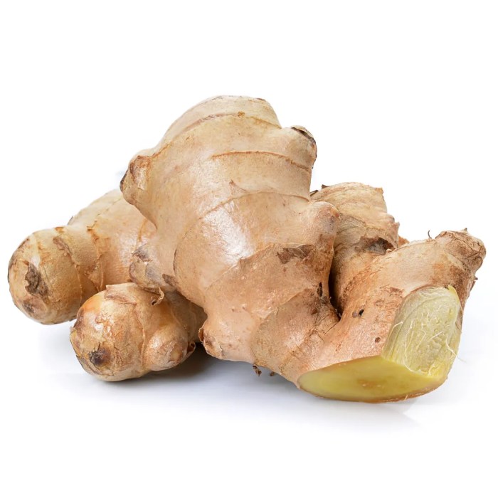 Harga Jahe Gajah dari Petani Fluktuasi dan Faktornya