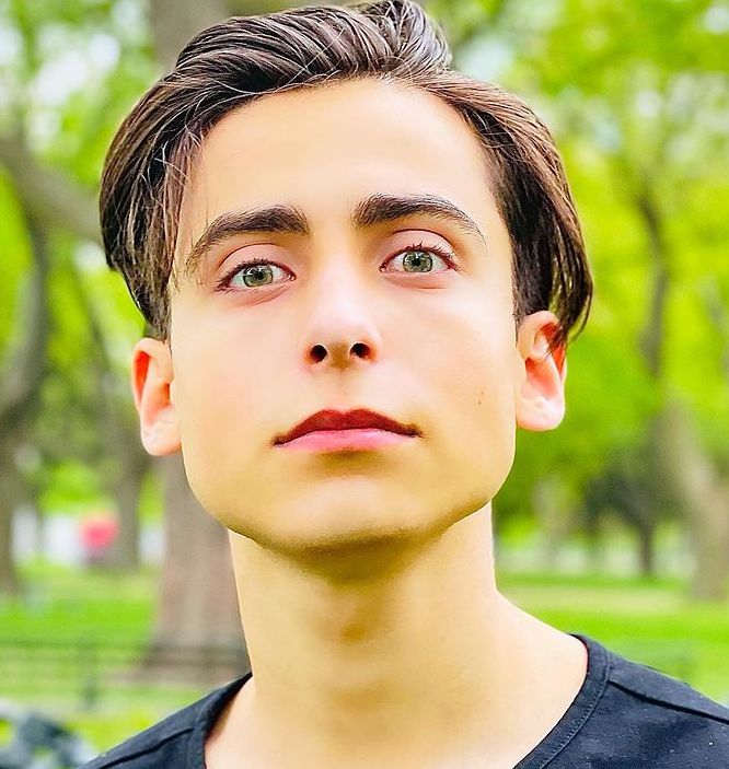 Aidan Gallagher Wiki Biography Height Net Worth Images Labuwiki