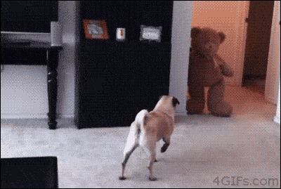 10 Funny Animated Dog Gifs Laffgaff Home Of Laughter